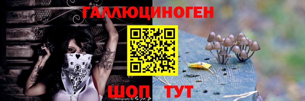 Галлюциногенные грибы Psilocybine cubensis Кулебаки
